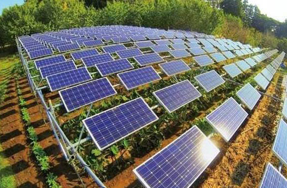 建設(shè)農(nóng)光互補光伏電站有什么好處？