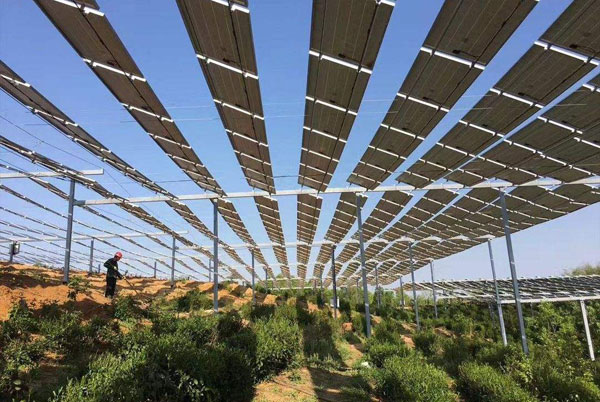 農(nóng)光互補(bǔ)項目的模式及建設(shè)流程